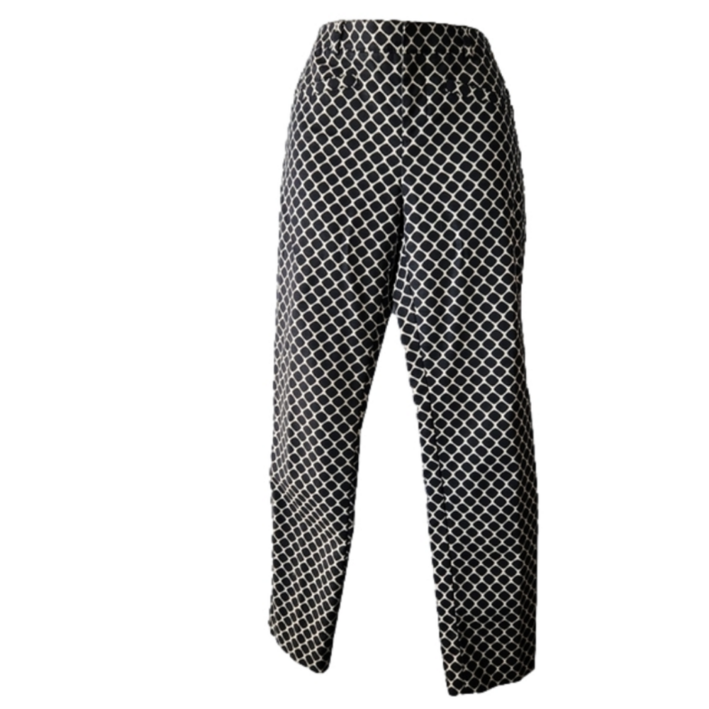 Club Monaco cropped skinny pants
